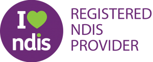 ndis-1024x423
